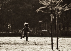 Маленький мальчик вышел ночью из дома и не вернулся в Ставропольском крае