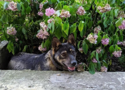 Какая погода ждет жителей Ставрополя 2 апреля 