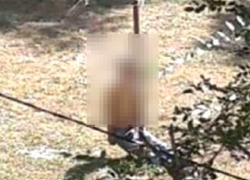 Мертвого мужчину на столбе обнаружили у забора школы в Пятигорске