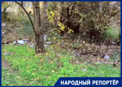 «Поляна» из пластика разрослась под окнами дома на Бруснева в Ставрополе