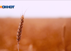 Почти 2 тысячи гектаров земли не получилось незаконно присвоить предпринимателям на Ставрополье