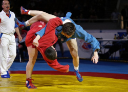 От Кстово до Нальчика: ставропольские самбисты отличились на всероссийских турнирах