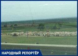 Вопреки заявлениям администрации гору мусора в районе села Надзорное так и не убрали 