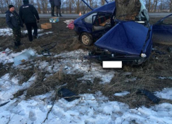 Двое погибли в страшном столкновении автомобиля с деревом на Ставрополье