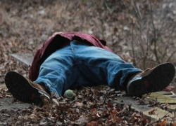 14-летнего подростка нашли без сознания в лесу под Ставрополем 