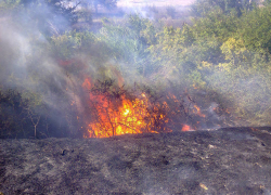 Ставропольские спасатели противостоят ландшафтным пожарам