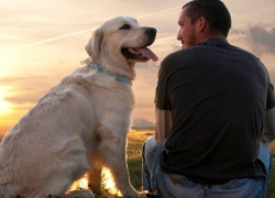 «Недешевое удовольствие»: стало известно, сколько стоит завести собаку в Ставрополе 