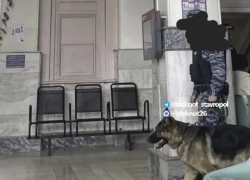 В Ставрополе эвакуировали железнодорожный вокзал: сообщение о минировании оказалось ложным