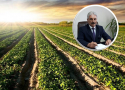 Муниципальные земли меценатам — на Ставрополье глава села Долиновка раздает сельхозугодья даром