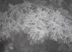 Температурные качели от -12 до +3 грядут на Ставрополье 22 января 