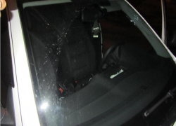 Выбежавшего на дорогу 7-летнего мальчика сбил водитель «Шкоды» на Ставрополье – ребенок попал в реанимацию