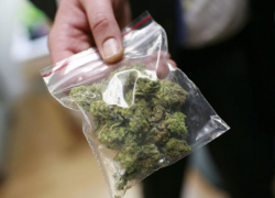 Около 30 кг наркотиков изъяли за месяц на Ставрополье