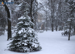 Небольшие заморозки и гололед поднимут настроение ставропольцам 22 января 
