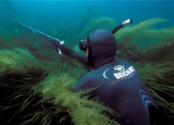 На Ставрополье мужчина выстрелил себе в ногу во время подводной охоты