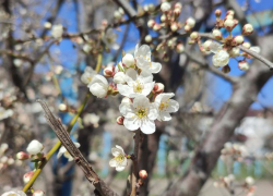 Дожди и потепление до +27 спрогнозировали ставропольцам в начале рабочей недели 