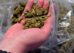 Служебная собака обнаружила марихуану в мусоре на Ставрополье