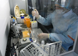 В Ставрополе назвали лекарство, помогающее не бояться коронавируса 