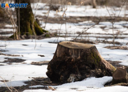 Крепкие морозы на Ставрополье сохранятся 20 января 