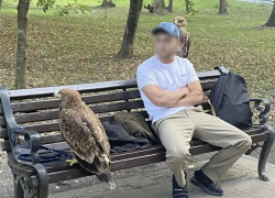 Орлов забрали у организаторов платных фотосессий в Курортном парке Ессентуков