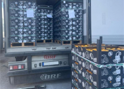 Дефицита мандаринов не будет: к Новому году на Ставрополье прибудут более 200 тонн цитрусовых