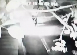 Неизвестный мужчина выстрелил в семью с ребенком и скрылся на машине в Пятигорске