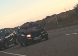 Лошадь кинулась под колеса автомобиля на Ставрополье