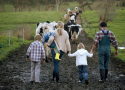 Бесплатное жилье от государства получили 126 семей работников АПК на Ставрополье 