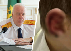 Глава Следкома России потребовал доклад после нападения собак на детей в Минеральных Водах