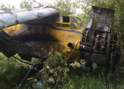 На Ставрополье самолет Ан-2 загорелся при взлете
