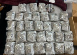 Посылку с марихуаной из Сан-Франциско пытался получить житель Ставрополья