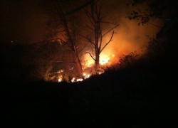 Праздник на Сенгилеевском водохранилище закончился пожаром