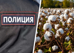 Ставропольский «хлопковый король» Алибек Шебзухов объявлен в международный розыск