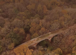 Древний могильник, загадочные привидения и Немецкий мост — история Мамайского леса
