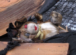 Семья с 2-летним ребенком сгорела в пожаре из-за уснувшего с сигаретой молодого мужчины на Ставрополье 