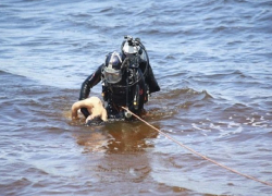 Пропавший на Ставрополье 5-летний мальчик пошел купаться и утонул в реке