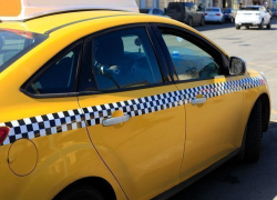 Ставропольчанин съездил за коноплей в лес на такси