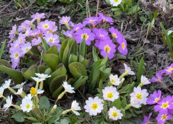 Стало известно, какой будет погода в Ставрополе в последнюю субботу марта