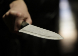 На Ставрополье мужчина убил незваного гостя