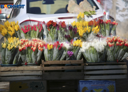 На цветы для торжественных мероприятий власти Ставрополя потратят 439 тысяч рублей