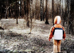 Пропавшего на Ставрополье школьника нашли у бабушки в соседнем селе