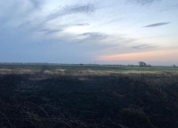 Пожар на ячменном поле в Ставропольского крае обошелся без жертв