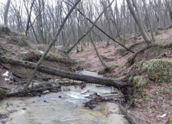 Труп мужчины вытащили из реки в Ставрополе