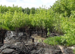 В Пятигорске в канаве обнаружили тело новорожденного ребенка