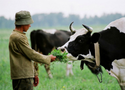 На Ставрополье держали в рабстве инвалида из Татарстана
