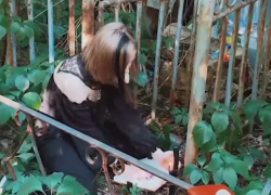 Ставропольская ведьма может попасть под следствие из-за обрядов на кладбище