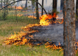 На Ставрополье снова существует вероятность пожаров