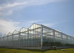 На Ставрополье появится четыре тепличных комплекса за 20 миллиардов рублей