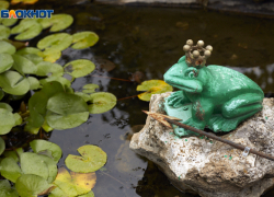 Причину 30-градусной жары на Ставрополье назвали в Гидрометцентре 