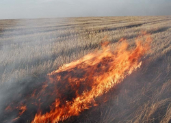 Два ландшафтных пожара на Ставрополье едва не стали причиной горения жилых домов