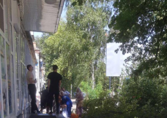 Женщину придавило деревом в Минеральных Водах — фото 